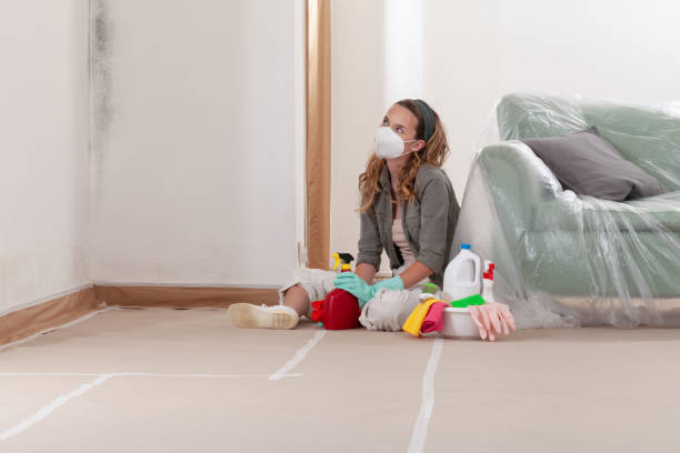 Reliable Mold Remediation contractor in Port Jefferson Station, NY by Cheap Mold Removal